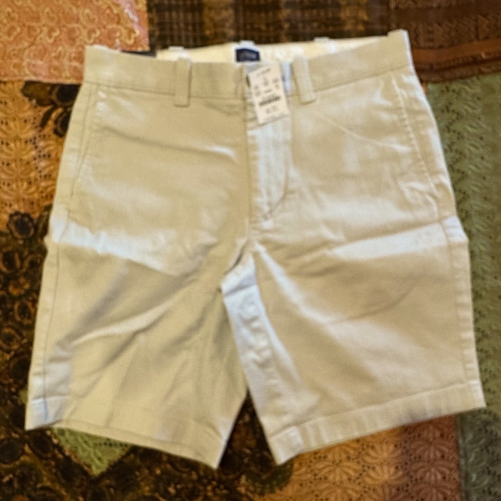 J.Crew 9” Inseam Chino Shorts - Size 29, tan, NWT